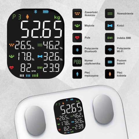 ANALITYCZNA WAGA ŁAZIENKOWA SMART IOS ANDROID KLAUSBERG KB-7855 KLAUSBERG