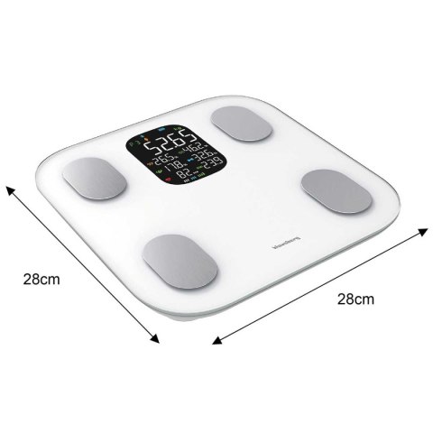 ANALITYCZNA WAGA ŁAZIENKOWA SMART IOS ANDROID KLAUSBERG KB-7855 KLAUSBERG