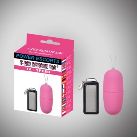 T rex remote egg pink remote control egg 12 speed T rex remote egg pink remote control egg 12 speed
