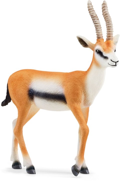 Schleich Gazela Thomsona Wild Life 14861 Schleich Gazela Thomsona Wild Life 14861