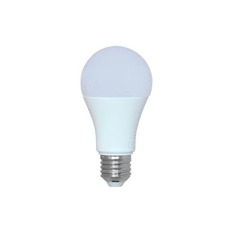 ŻARÓWKA LED 12W E27 1251LM 3000K CIEPŁA ŻARÓWKA LED 12W E27 1251LM 3000K CIEPŁA
