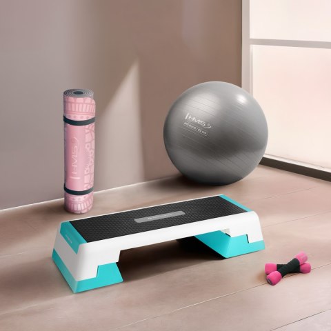 AS007 WHITE/MINT STEP DO AEROBIKU HMS PREMIUM AS007 WHITE/MINT STEP DO AEROBIKU HMS PREMIUM